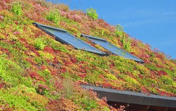 Barrow Nook living roof systems