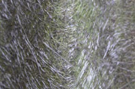 Barrow Nook fibreglass roof work